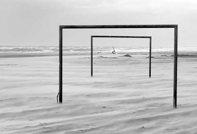 泳项目上的 泳项目上的