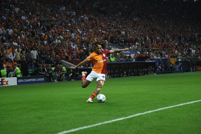 广东队主场 广东队主场