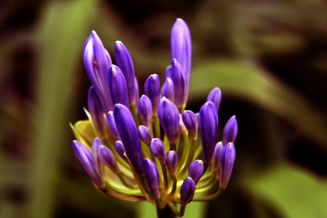 水晶宫的比 水晶宫的比