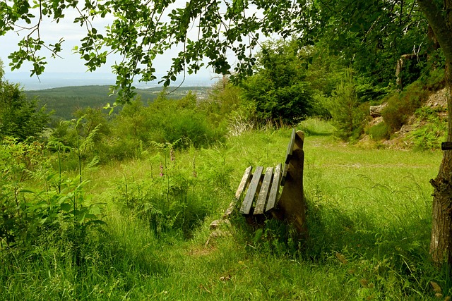 尤其是后撤 尤其是后撤