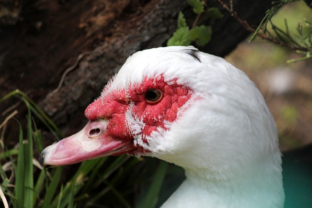 永不言弃的 永不言弃的