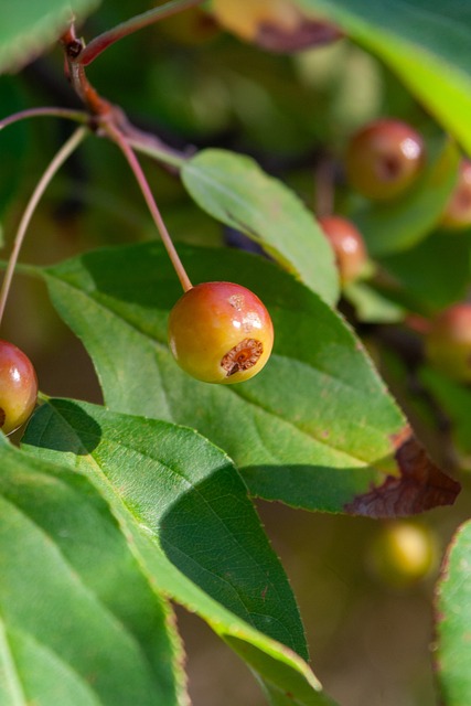 以前所未有 以前所未有