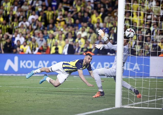 諾維奇足球 諾維奇足球