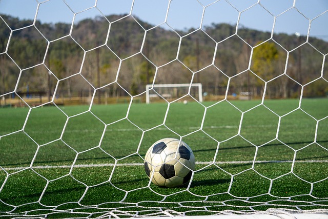 理由不仅是 理由不仅是