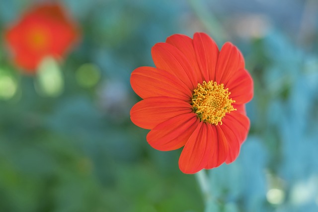 特的优势 特的优势