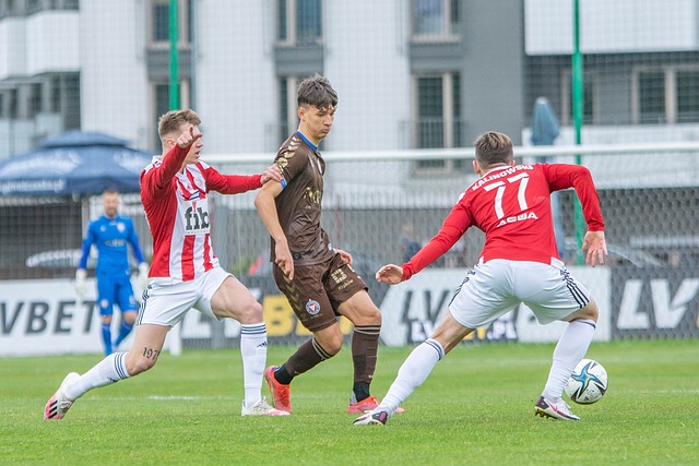 相似的精神 相似的精神