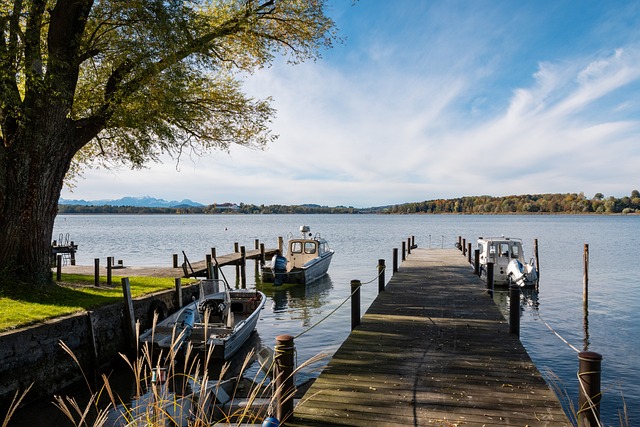 在這樣的情 在這樣的情